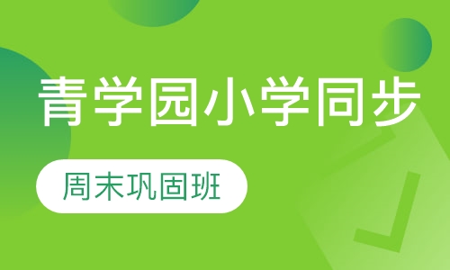 （青学园小学同步）周末巩固班