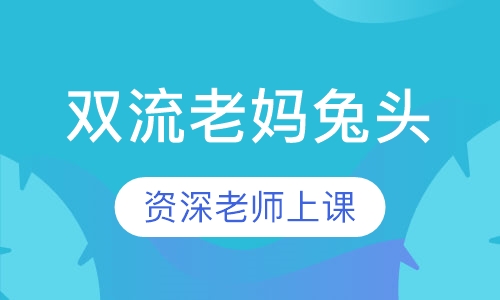 双流老妈兔头
