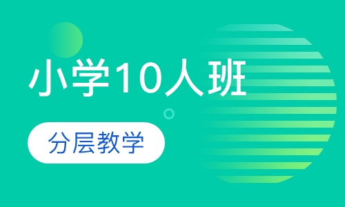 录播课+直播课小学10人班