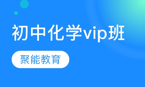 2020年初中化学vip辅导班