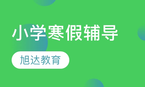 小学各科寒假辅导