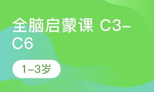 全脑启蒙课 C3-C6