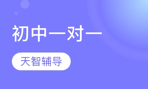 初中一对一