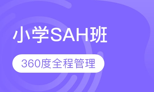 小学SAH班