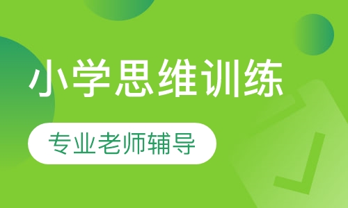 小学思维训练