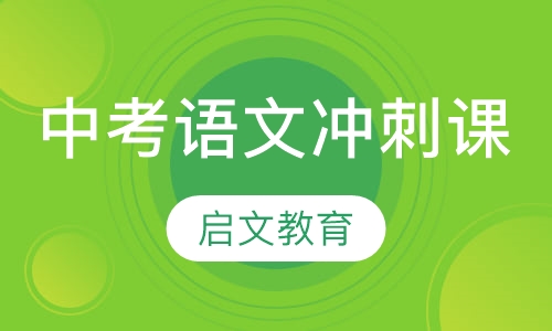 中考语文冲刺课