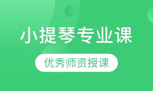 小提琴专业课
