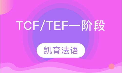TCF/TEF一阶段
