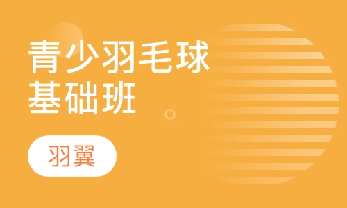 青少年羽毛球基础常训练