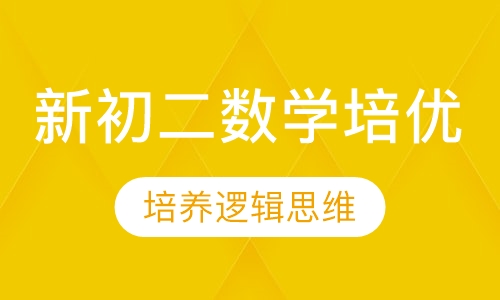 新初二数学培优班