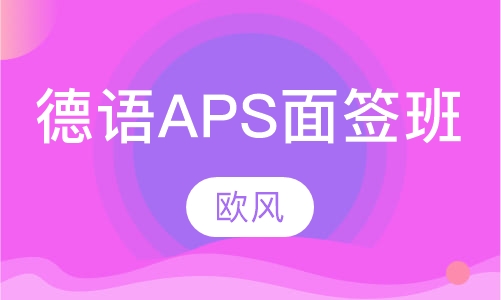 德语APS面签班