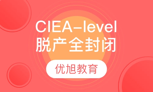 CIE A-level 脱产全封闭一对一理工科类组合2