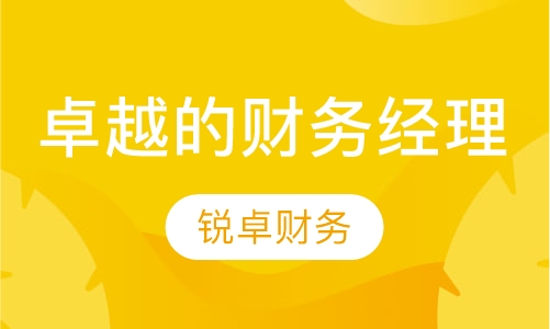 卓越的财务经理
