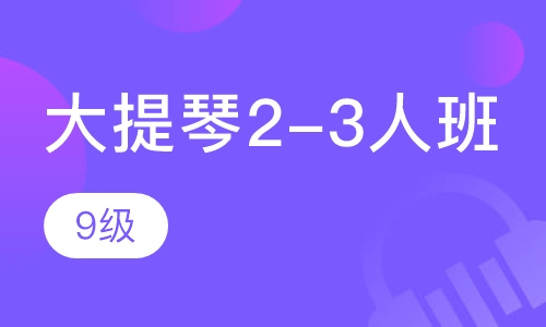 大提琴2-3人班  9级