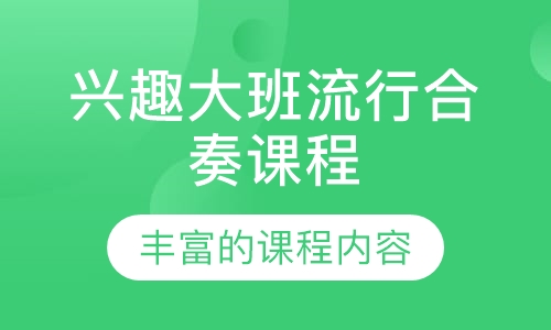 兴趣大班流行合奏课程