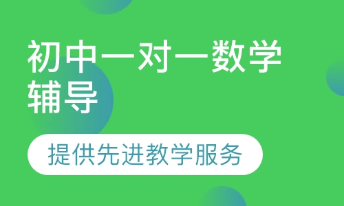 初中一对一数学辅导