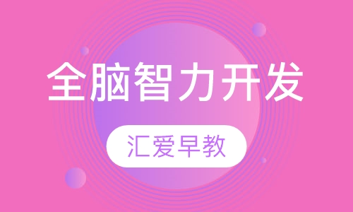 全脑智力开发乐园