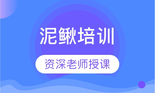 泥鳅培训