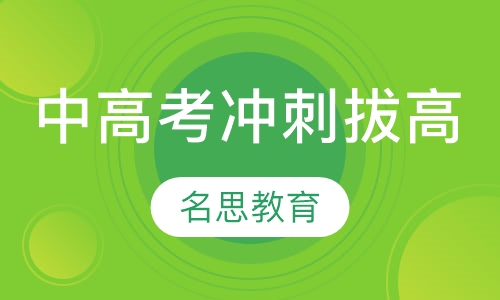 1对1中高考冲刺拔高特训