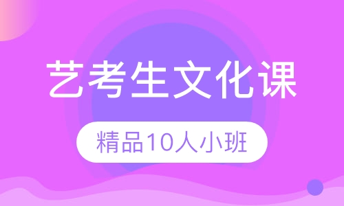 星火艺考生文化课10人课堂