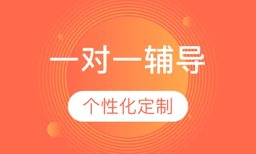 一对一个性化辅导
