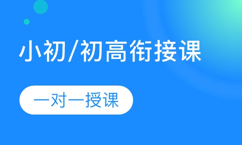 小初/初高衔接课