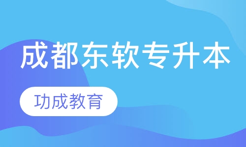成都东软学院（专升本）