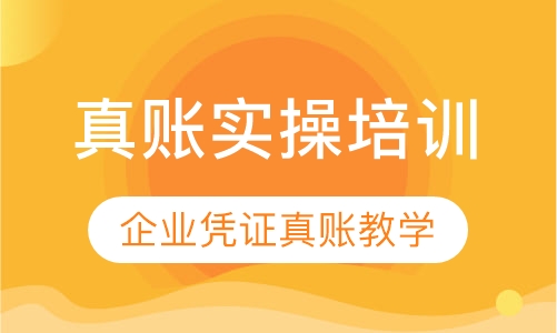 会计培训学真账实操 一对一教学