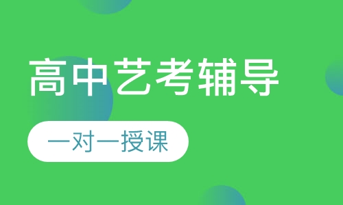 高中一对一艺考辅导