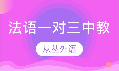 法语一对三（中教）