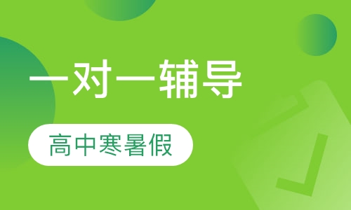 高中寒暑假一对一辅导