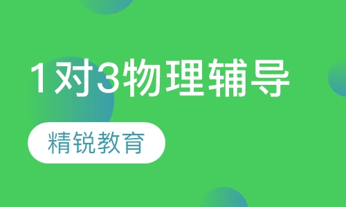 1对3物理辅导