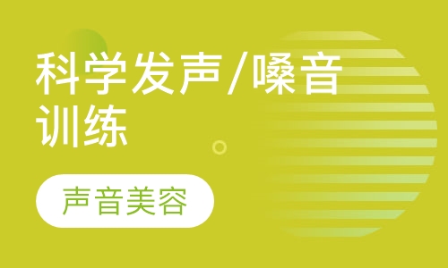 嗓音训练/播音主持