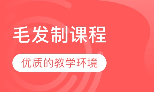 毛发制课程