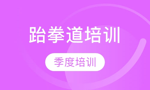 跆拳道季度培训班