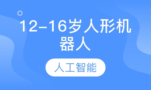 12-16岁人形机器人