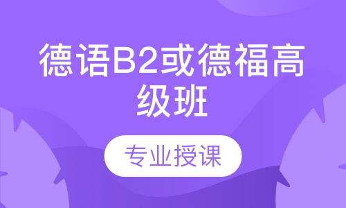 德语B2或德福高级班