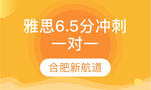 雅思6.5分提高冲刺VIP一对一班