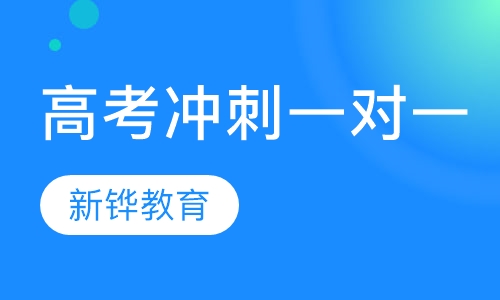 高考冲刺一对一辅导
