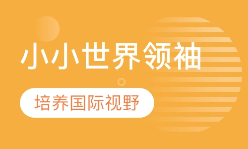 小小世界领袖4-8岁