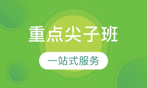 重点尖子班