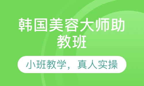韩国大师助教班