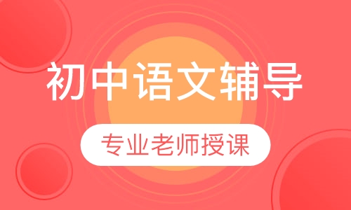 初中一对一语文上门辅导