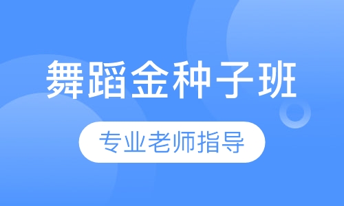 舞蹈金种子班