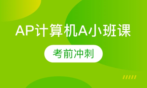 AP计算机A小班课