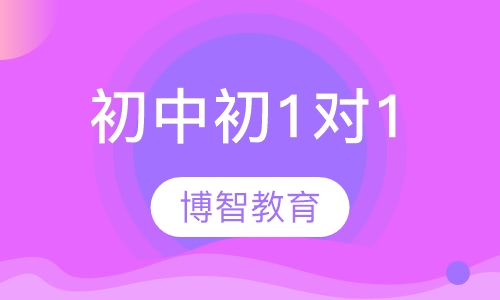 初中初1对1