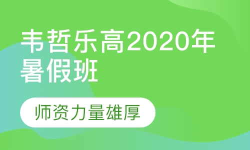 韦哲乐高2020年暑假班