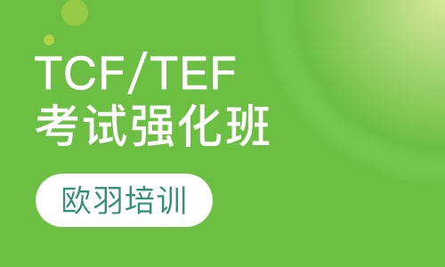 法语TCF/TEF考试强化班