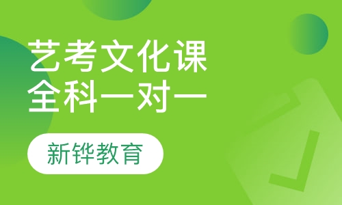 艺考生文化课VIP全科一对一辅导