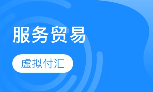 服务贸易付汇与虚拟付汇